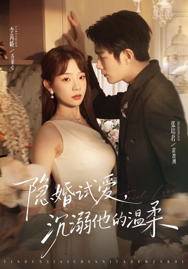 隐婚试爱沉溺他的温柔