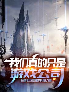 我们真的只是游戏公司 cover