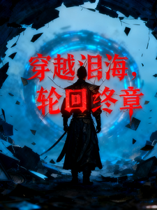 穿越泪海:轮回终章 cover