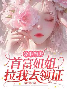 分手当天，首富姐姐拉我去领证 cover