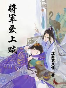 将军爱上贼 cover