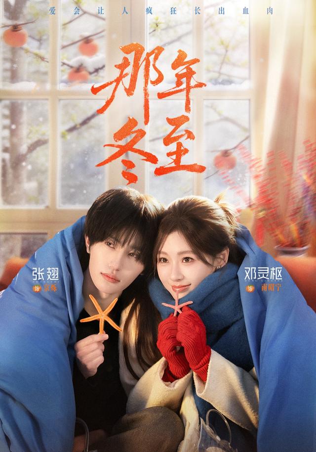 短剧那年冬至海报