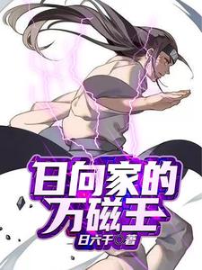 日向家的万磁王 cover