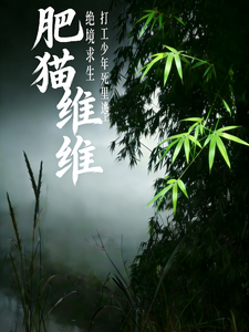 绝境逃生：打工少年死里逃生 cover