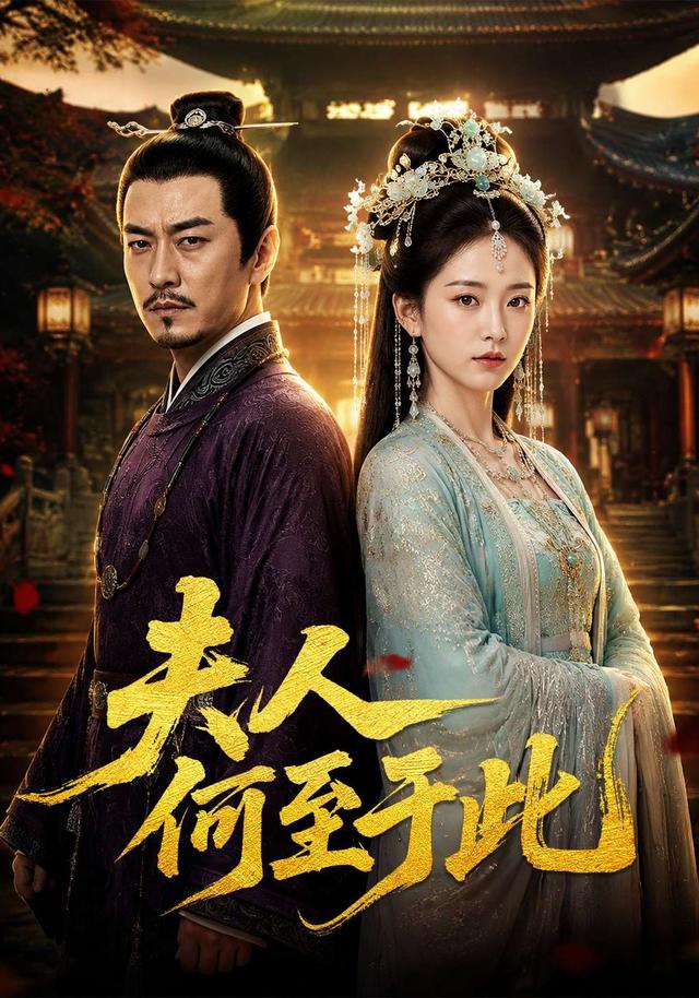 夫人何至于此 cover