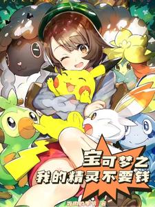 宝可梦之我的精灵不要钱 cover