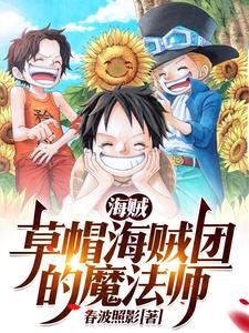 海贼：草帽海贼团里的魔法师 cover