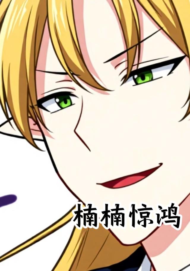 楠楠惊鸿