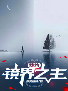 我为镜界之主 cover