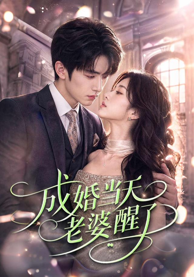 成婚当天老婆醒了 cover