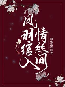 凤羽绾入情丝间 cover