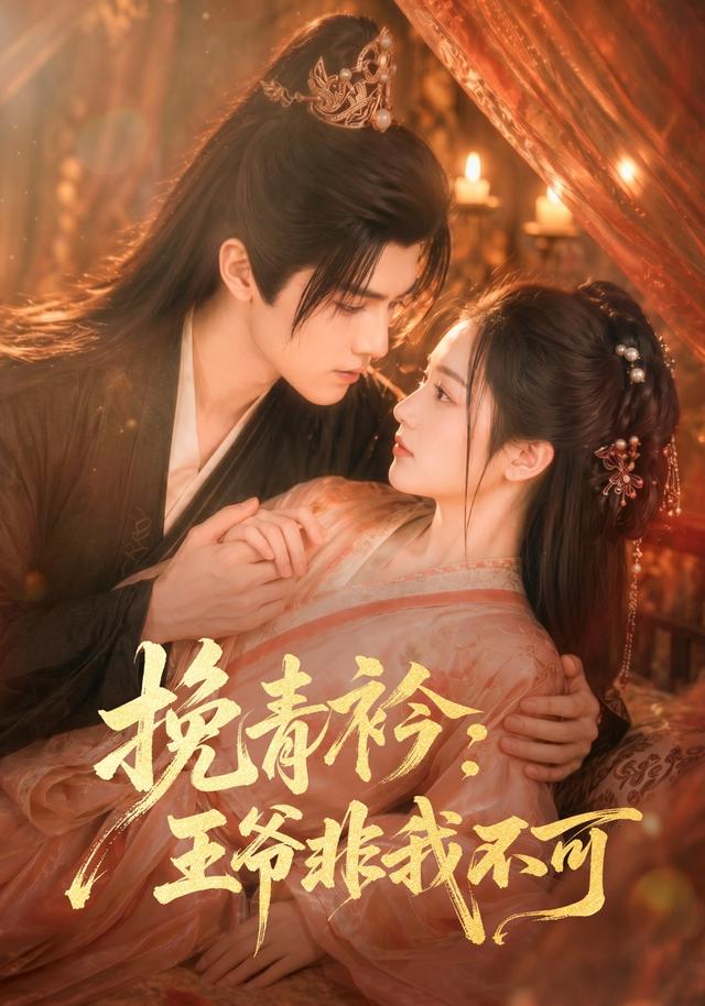 挽青衿：王爷非我不可 cover