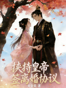 挟持皇帝，签离婚协议 cover