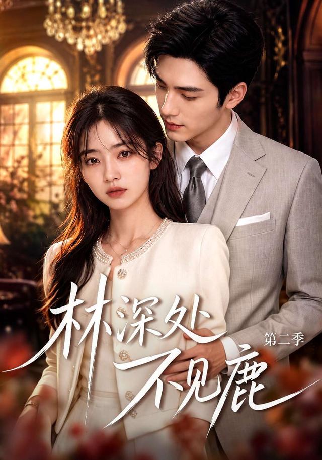 林深处不见鹿第二季 cover