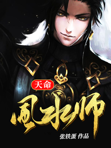 天命风水师 cover