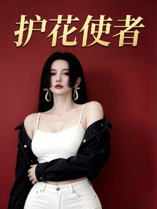 护花使者 cover