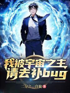 我被宇宙之主请去补bug cover