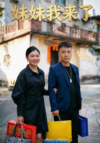 妹妹我来了封面图