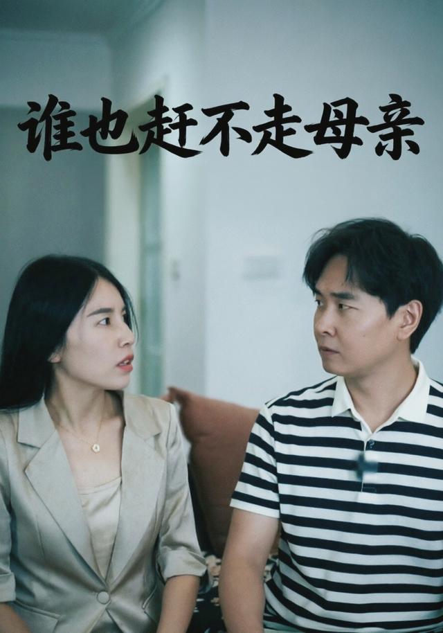 谁也赶不走母亲 cover