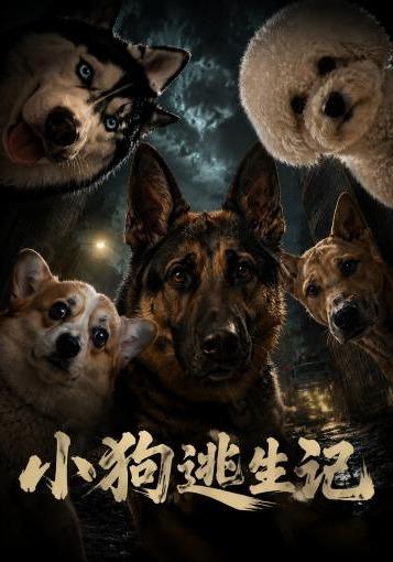 小狗逃生记