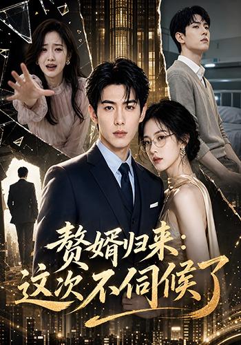 赘婿归来：这次不伺候了 cover