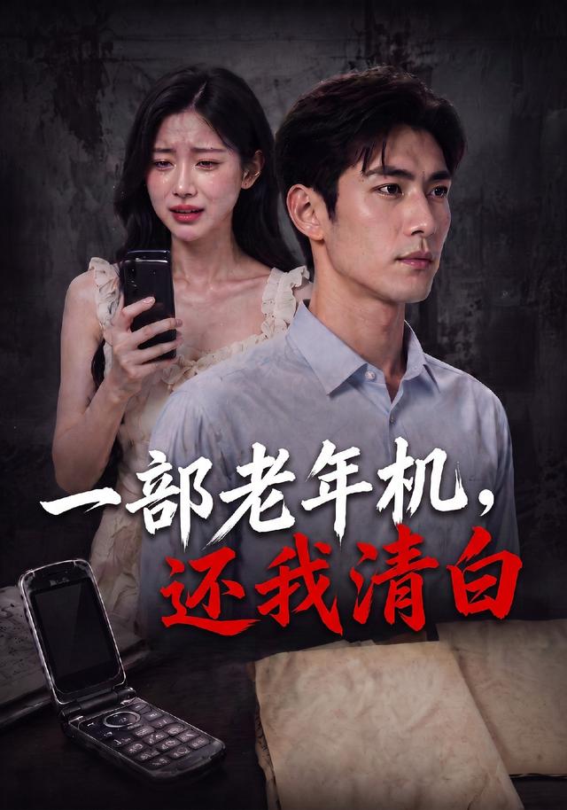 一部老年机，还我清白 cover