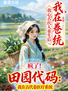 田园代码，我在古代卷医疗系统 cover