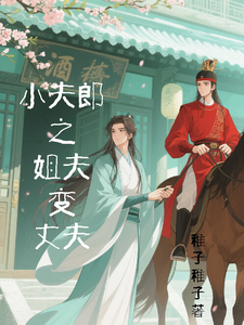 小夫郎之姐夫变丈夫 cover