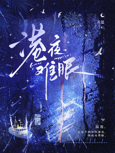 港夜难眠 cover