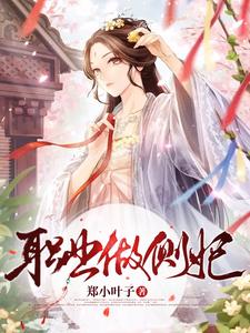 职业做侧妃 cover