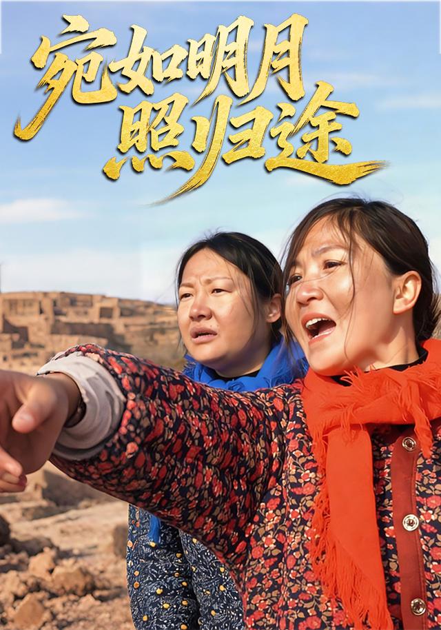 宛如明月照归途