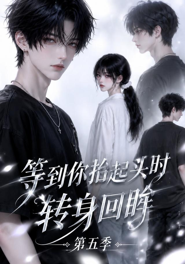 等到你抬起头时转身回眸（第五季）