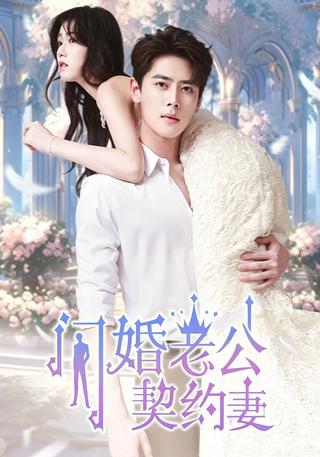 闪婚老公契约妻封面图