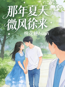 那年夏天微风徐来 cover