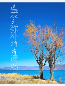 逆爱之弥补所有遗憾 cover