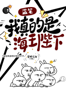 盗笔之我真的是海王陛下 cover
