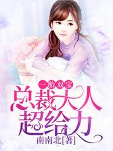 一胎双宝：总裁大人超给力 cover