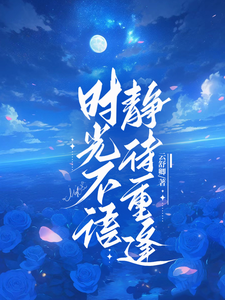 时光不语,静待重逢 cover