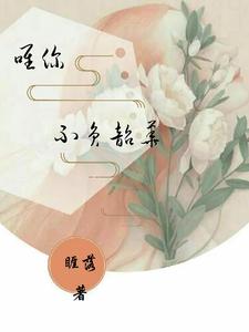 唯你，不负韶华 cover