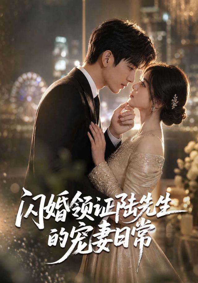 闪婚领证陆先生的宠妻日常 cover