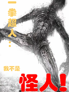 一拳超人:我不是怪人! cover