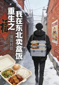 重生之我在东北卖盒饭 cover