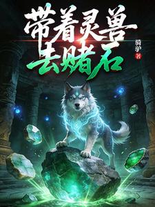 带着灵兽去赌石 cover
