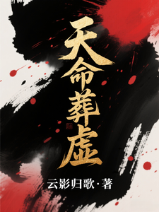 天命葬虚 cover