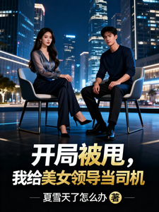 开局被甩，我给美女领导当司机 cover