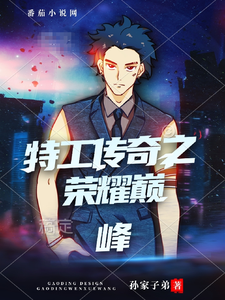 特工传奇之巅峰荣耀 cover