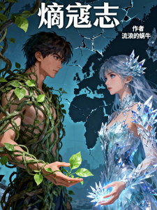 熵寇志 cover