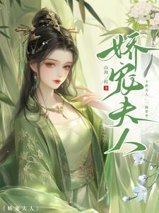 娇宠夫人 cover