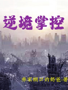 逆境掌控 cover