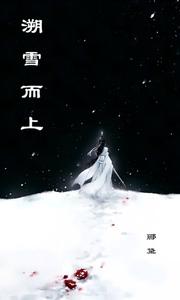 溯雪而上 cover